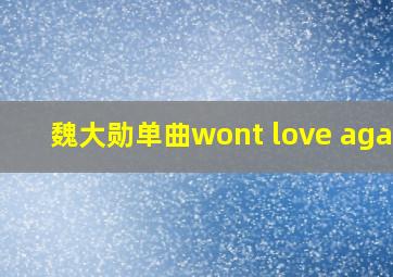 魏大勋单曲wont love again